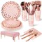 Nkaiso 141 Pieces Pink and Rose Gold Party Supplies, Disposable Party Decorations Sets Include Paper Plates Napkins Cups, Plastic Forks Knives Spoons, for Baby Shower Birthday Wedding -20 Guests